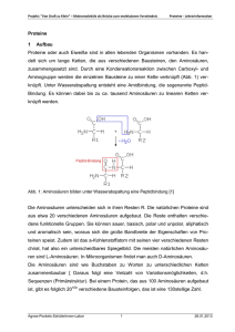 Proteine Informationen - Technische Universität Braunschweig