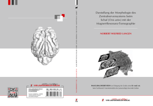 Darstellung der Morphologie des Zentralnervensystems beim Schaf