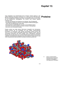 Kapitel 13: Proteine