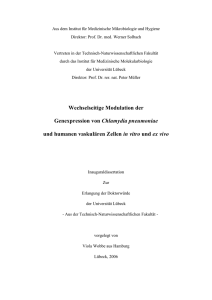 Wechselseitige Modulation der Genexpression von Chlamydia