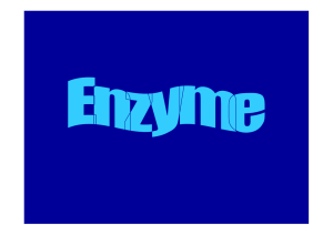 PowerPointPräsentation zum Skript “Enzyme”