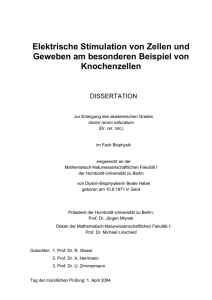 Elektrische Stimulation von Zellen und Geweben am