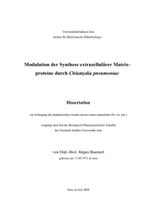 Modulation der Synthese extrazellulärer Matrix