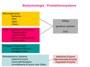 Pilze – Prozessrelevante Eigenschaften