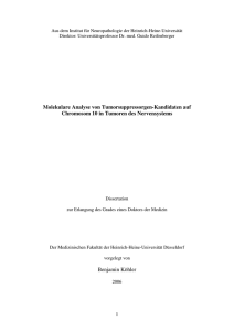 Dissertation Benjamin Köhler, Abgabeversion formatiert