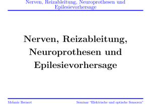 Nerven, Reizableitung, Neuroprothesen und Epilesievorhersage