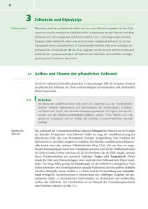 3 Zellwände und Glykokalyx Aufbau und Chemie der