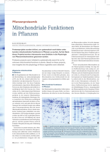 Mitochondriale Funktionen in Pflanzen