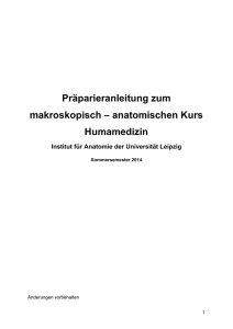 Präparieranleitung zum - Institut für Anatomie Leipzig