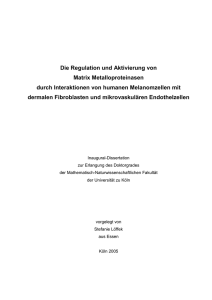 Die Regulation und Aktivierung von Matrix Metalloproteinasen durch