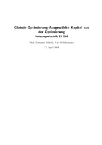 Globale Optimierung-Ausgewählte Kapitel aus der Optimierung