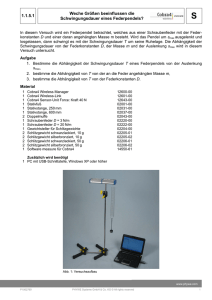 1.1.5.1 Weche Größen beeinflussen die Schwingungsdauer eines