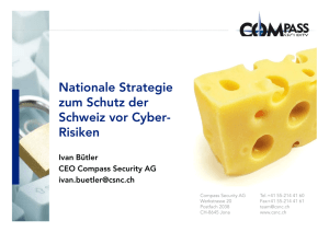 Nationale Strategie zum Schutz vor Cyber-Risiken