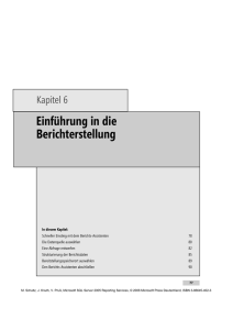 Einführung in die Berichterstellung