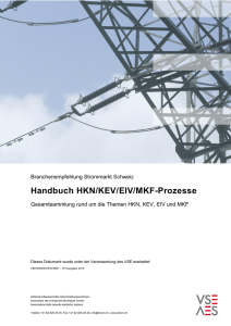 Handbuch HKN/KEV/EIV/MKF-Prozesse