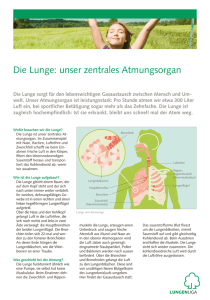 Die Lunge: unser zentrales Atmungsorgan