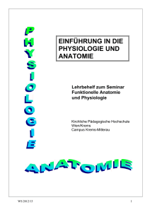 Skriptum Anatomie / Physiologie