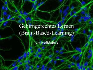 Gehirngerechtes Lernen (Brain-based