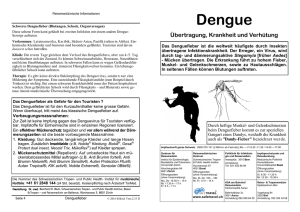 Dengue - Tropen- und Reisemedizin am Bellevue, Zürich