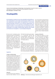 Virushepatitis