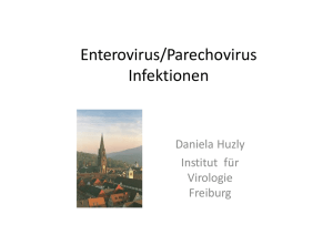 Enterovirus/Parechovirus Infektionen