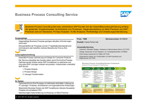Business Process Consulting Service