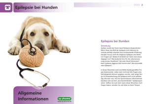 Epilepsie - Tierarzt Tierklinik Ingolstadt Dr Reindl