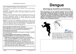 Denguefieber 2011 D