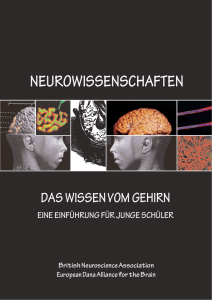 Das Wissen vom Gehirn - Neurowissenschaftliche Gesellschaft