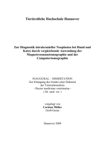 Zur Diagnostik intrakranieller Neoplasien bei Hund und Katze durch