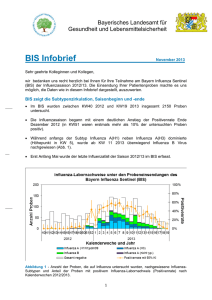 BIS Infobrief für Ärzte, November 2013