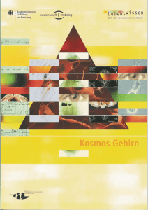 Kosmos Gehirn - Gesundheitsforschung