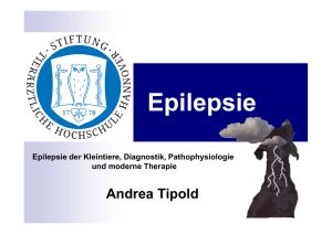 Epilepsie - Tierklinik Bielefeld