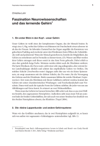Download_Selbstorganisiertes Lernen in Schule und Beruf