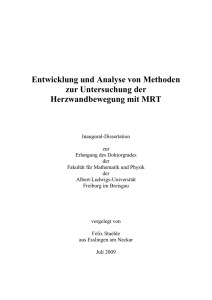 Entwicklung und Analyse von Methoden zur Untersuchung der