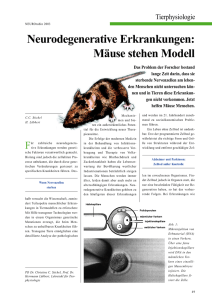 Neurodegenerative Erkrankungen: Mäuse stehen Modell