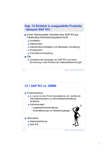 Kap. 12 Einblick in ausgewählte Produkte - Beispiel SAP R/3