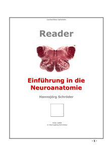 Reader Neuroanatomie - Neurowissenschaften