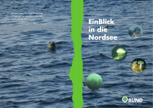 BUND-Broschüre: EinBlick in die Nordsee