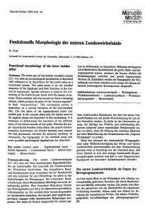 Funktionelle Morphologie der unteren Lendenwirbelsäule.