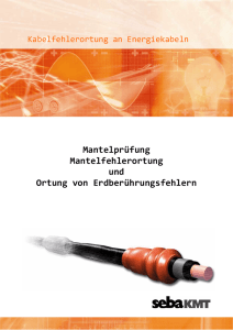 Mantelprüfung Mantelfehlerortung und Ortung von