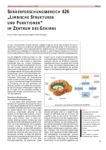limbische strukturen und funktionen - Otto-von-Guericke