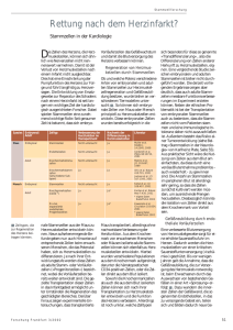 Rettung nach dem Herzinfarkt? - Forschung Frankfurt