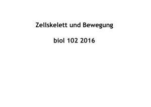biol 102 Zellskelett