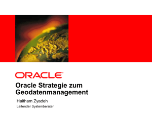 Oracle Strategie zum Geodatenmanagement