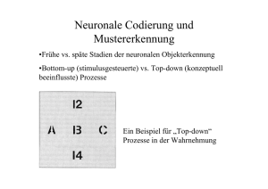 Neuronale Codierung