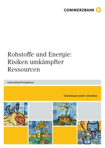 Studie 11: Rohstoffe und Energie: Risiken umkämpfter Ressourcen