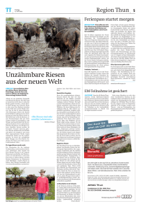 Bericht Thuner Tagblatt vom 04.07. 2014 Ferienpass startet morgen