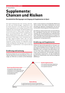 Supplemente: Chancen und Risiken