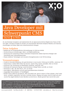 Java Developer mit Schwerpunkt CMS